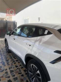 جیتۆر داشينگ